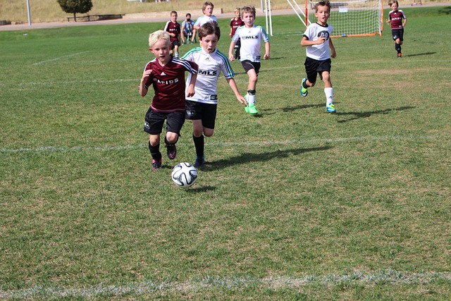 類似擴建項 類似擴建項