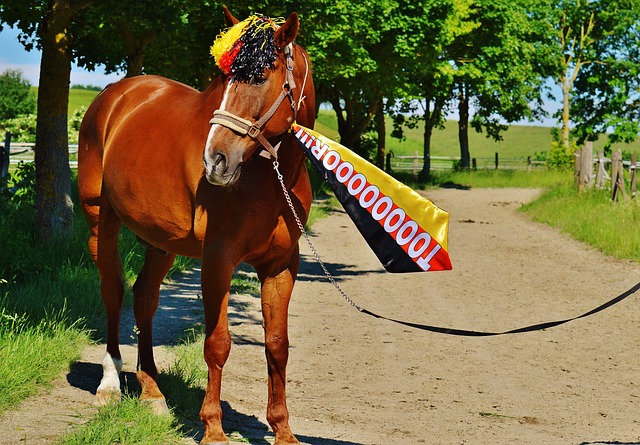 过度使用或 过度使用或